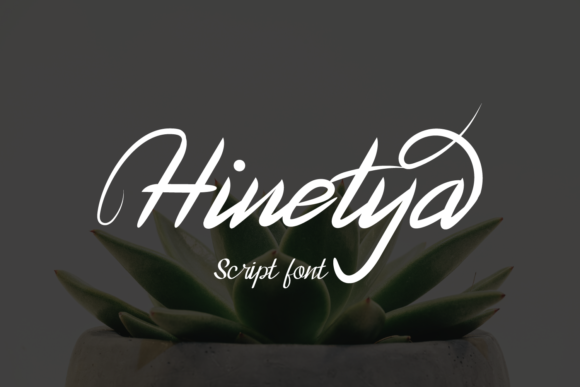 Hinetya: A Script Handwritten Font for Versatile Brand Campaigns