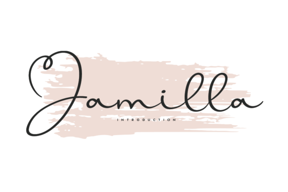 Jamilla: A Sweet Round Handwritten Font for Scroll-Stopping Brand Content